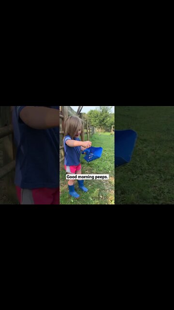 Good morning peeps #shorts