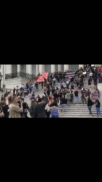 FLASHBACK: Code Pink Feminist Storms the Capitol