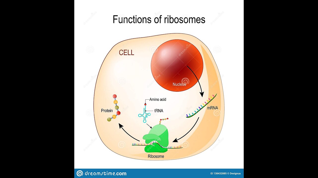 Wisdome is Female, Chemicals in Our Food, Water and Air, Last Days Mark America The Promise!