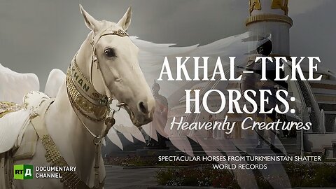 Akhal-Teke Horses: Heavenly Creatures | RT Documentary