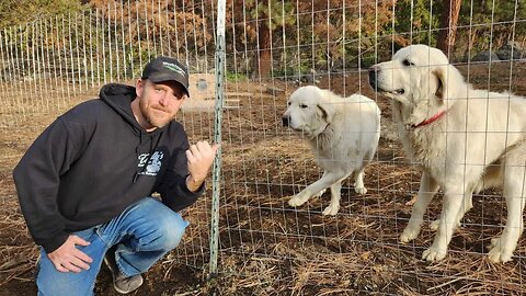 Constructing a New Home for Our Goats and LGDs (Winter Home)