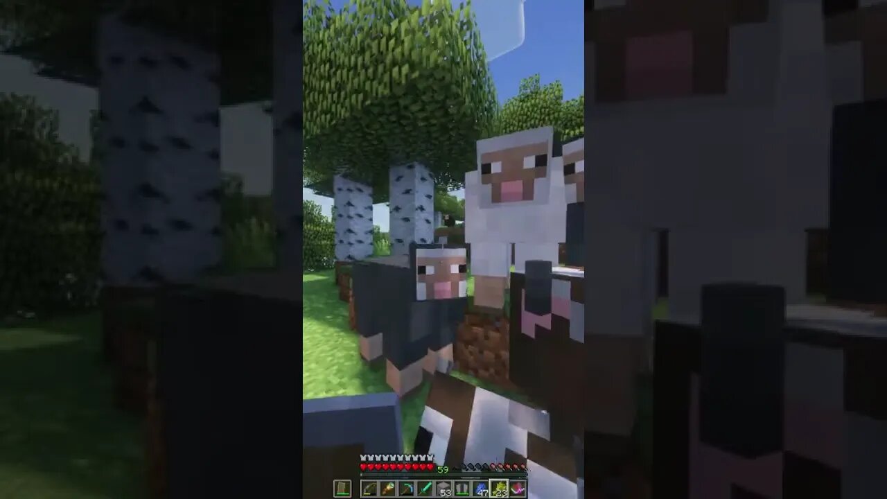 Minecraft 1.19 Realms New Shaders & Mods Survival Multiplayer Series Java SMP (Join Discord for IP!)