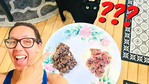 Wet food vs raw food with 4 cats