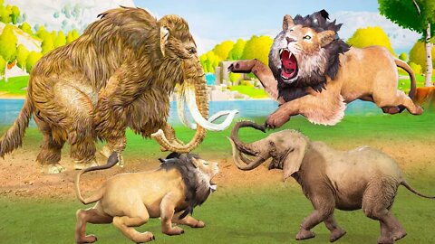 #shorts Lion vs Mammoth Fight