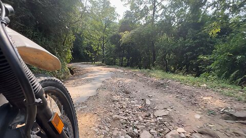 Road trip through Jungle