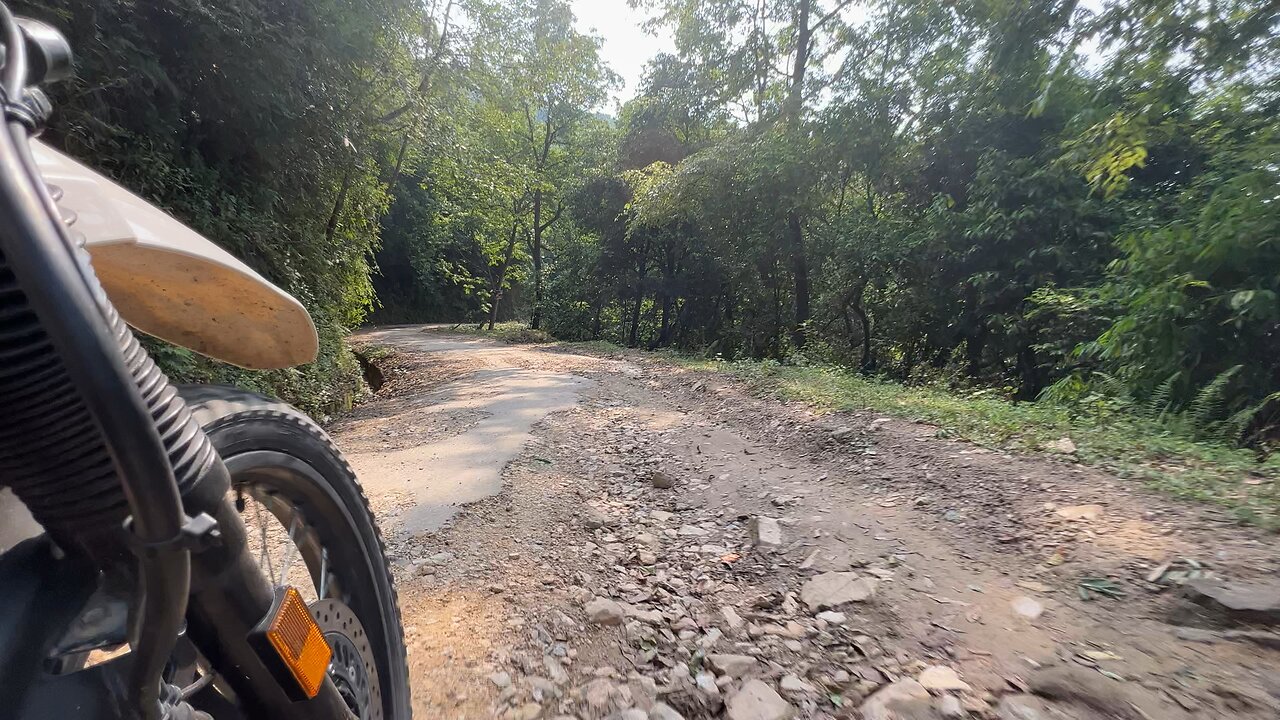 Road trip through Jungle