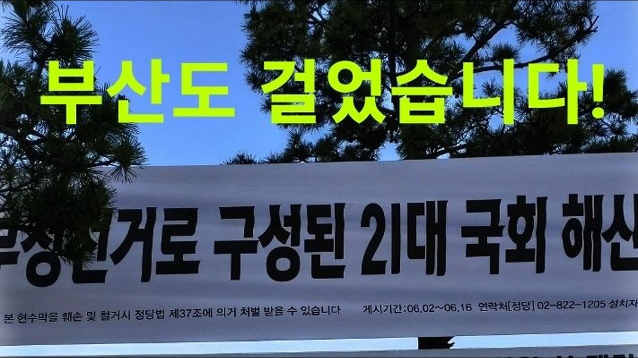 부산도 걸었습니다. 부정선거 불법 국회 해산하라! 230603