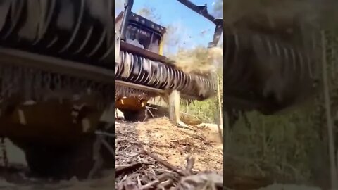 POR FAVOR INSCREVA ME AJUDA - PLEASE SUBSCRIBE HELP ME