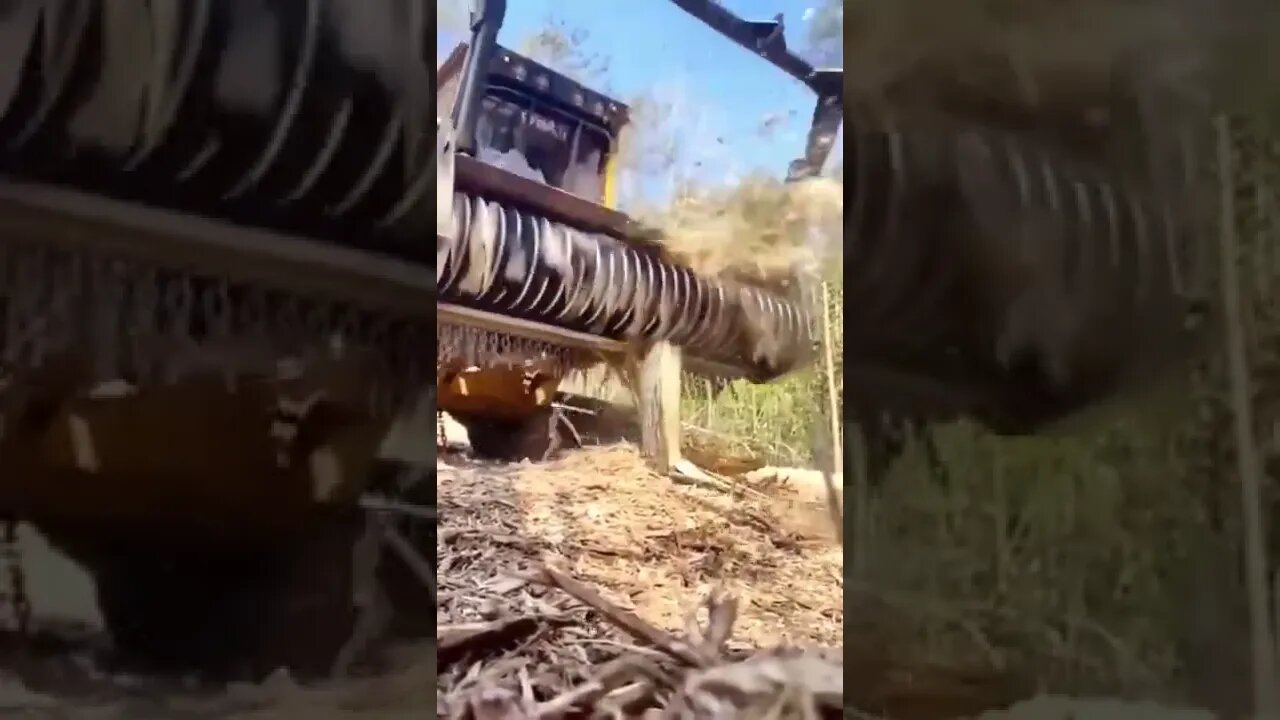 POR FAVOR INSCREVA ME AJUDA - PLEASE SUBSCRIBE HELP ME