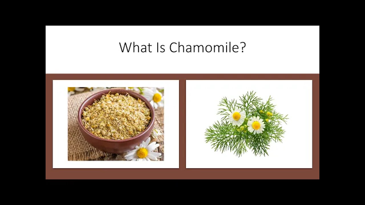 Chamomile Relaxing Benefits