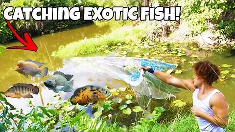 Catching EXOTIC Aquarium FISH For My MONSTER Fish TANK!