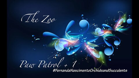 SUBSCRIBERS INSPIRE - Paw Patrol +1 :) Introducing The Zoo, incl. a special appearance by a Rabbit!