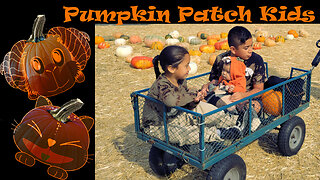 Pumpkin Patch kids| Wollipop Kids Halloween