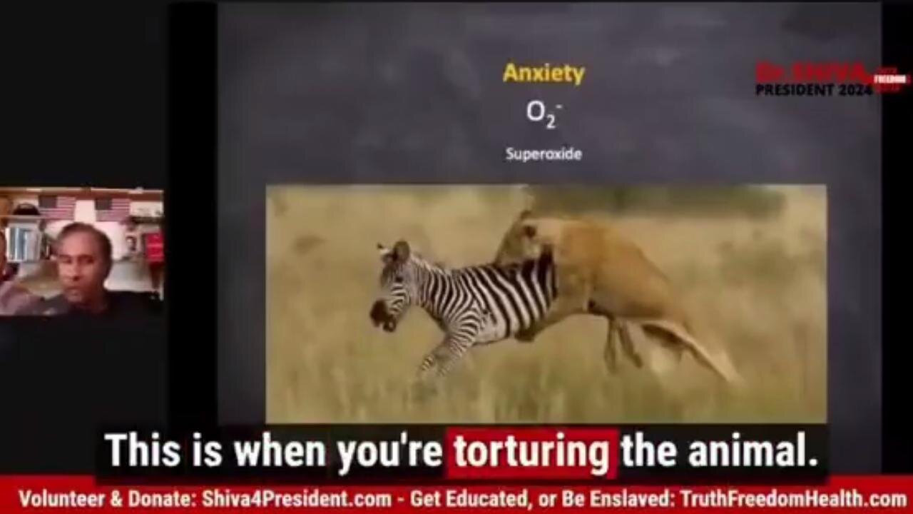 Dr Shiva Explains Adrenaline & Adrenochrome