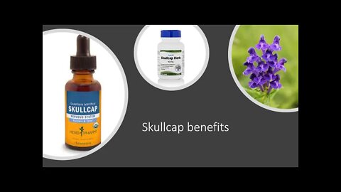 Skullcap Stress & Anxiety Benefits