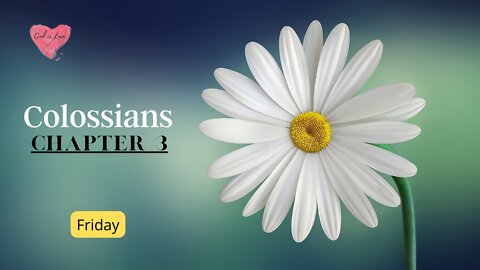 Colossians Chapter 3 Friday