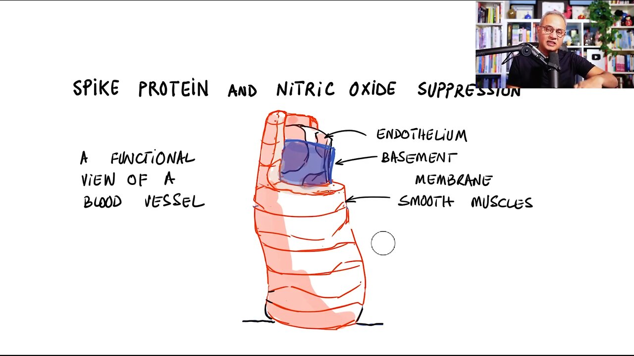 Spike Proteins Disrupt Nitric Oxide