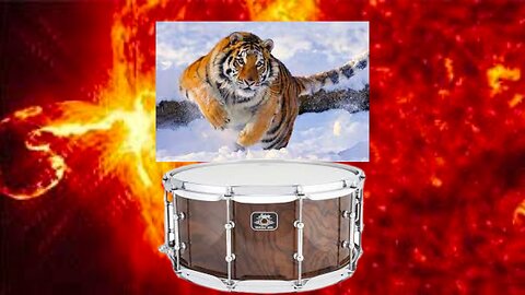 Snare Drum God