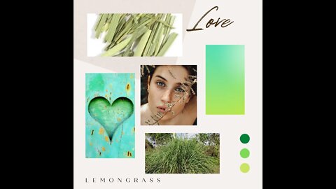 Elevate Emotions Lemongrass