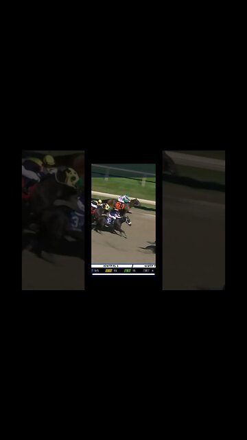 I Put $50 on this Horse! #sportsbettingexpert #sportsbettingpicks #sports #horseracing