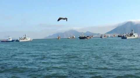 Lugar Turístico: Muelle Municipal - 27 de Octubre - Chimbote - Perú - Parte 06