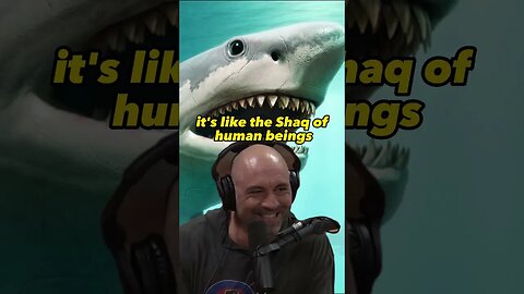 Joe Rogan's Reaction to a Colossal 30 Foot Shark