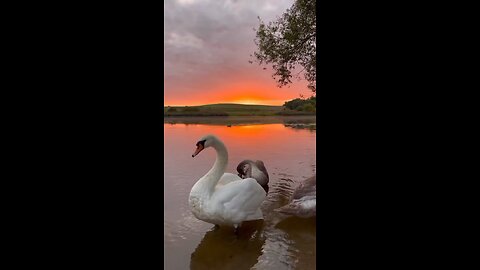 Beautiful sunset