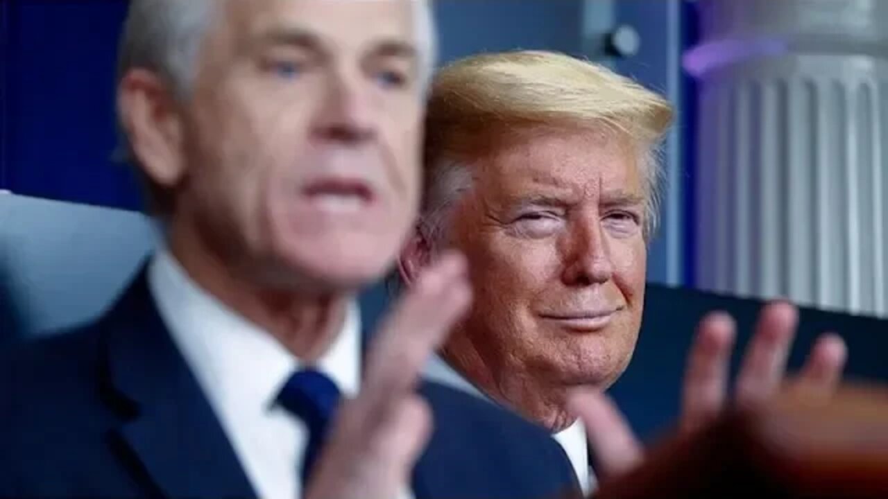 Trump's Surrogate Navarro Gets Taken To the Woodshed & Is Left Speechless w/ Basic Questions On CNN