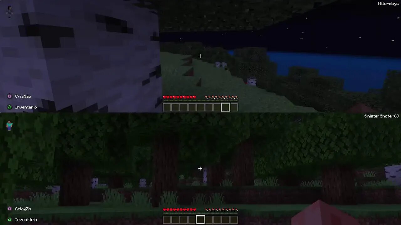 Minecraft: em dupla com minha mãe