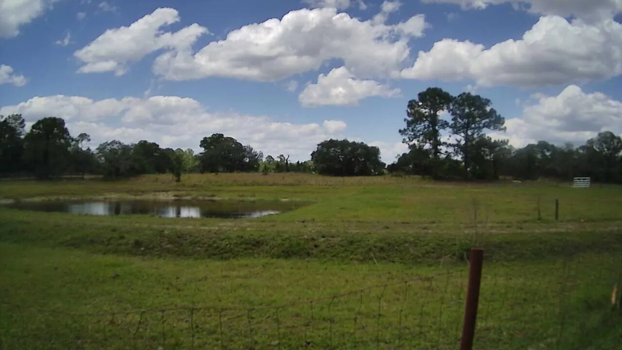 Live Feed - 5/9/22 Singing Birds at Venus Ranch.