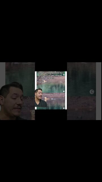 Mugger crocodile saves dog???