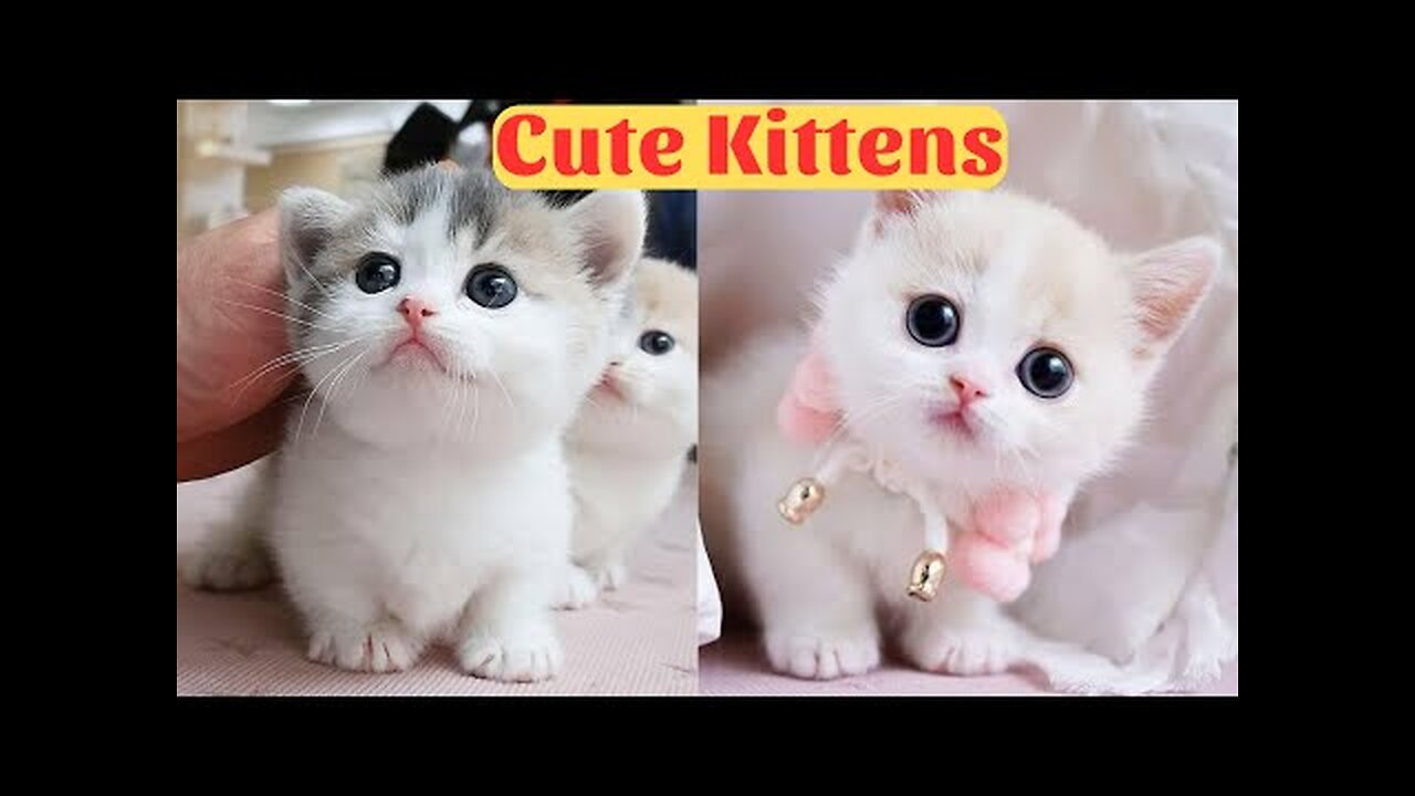 https://youtu.be/k3v1UE69WeI?si=cajBKeGpZc0hDrQG