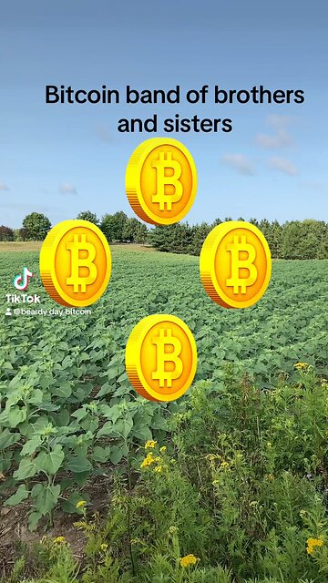 Bitcoin band of brothers and sisters
