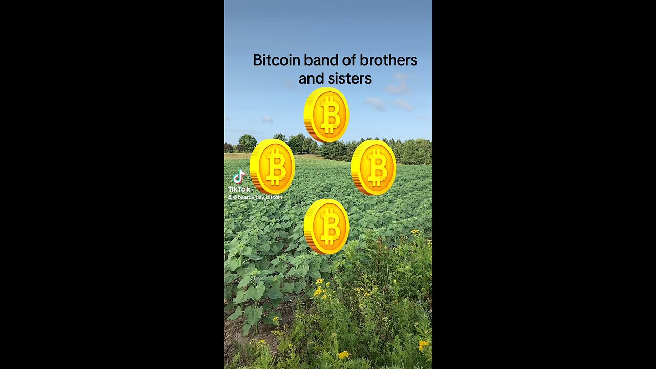 Bitcoin band of brothers and sisters