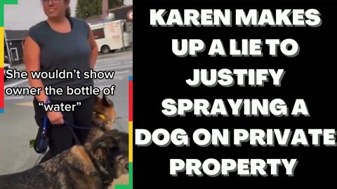 |NEWS| Karen Lies Matter