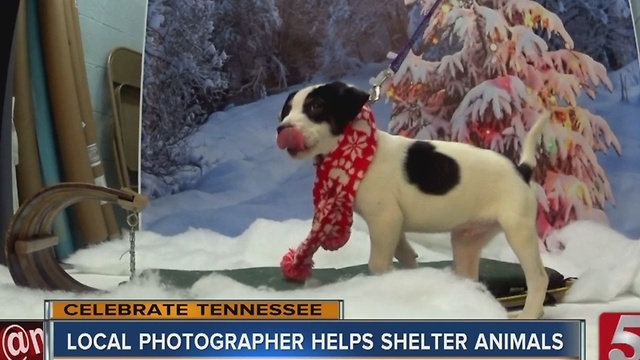 Celebrate Tennessee: Pics For Pets