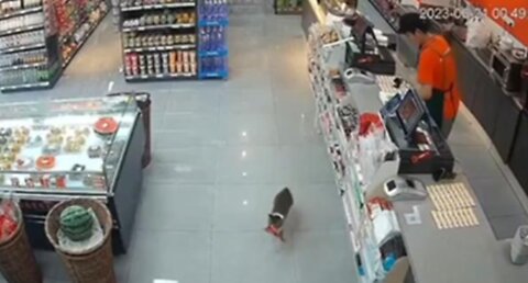 Smooth Criminal (Cat) Takes What It Wants And Casually Strolls Out Of Store As Clerk Sees/Follows It