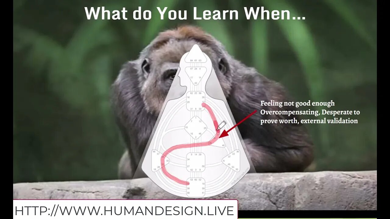 Awaken Your Profit Potential using the Human Design System for Success