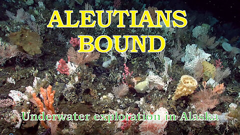 ALEUTIANS BOUND \ UNDERWATER EXPLORE IN ALASKA