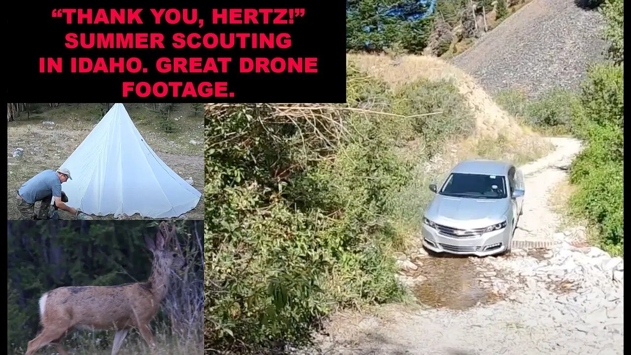 “DON’T DO IT!” 😂🤣 Hertz rental used like a 4x4 truck! Summer scouting for elk in Idaho.