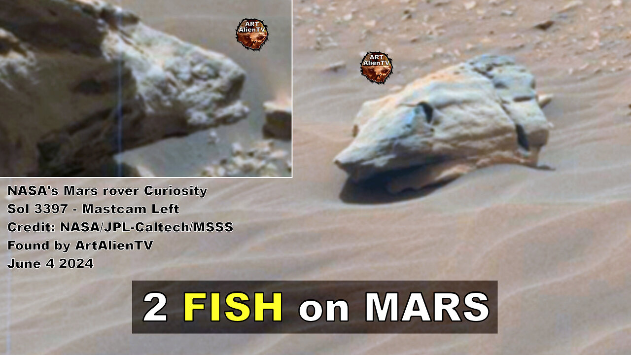 MARS Rover Spots 2 FISH. Shark Evidence ! ArtAlienTV