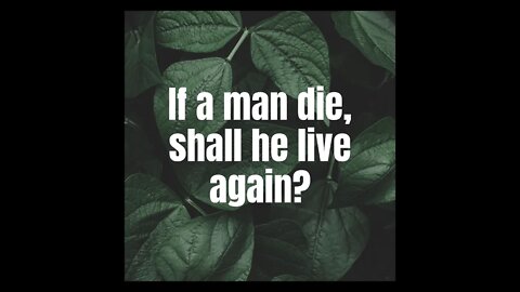 If a man die, shall he live again?