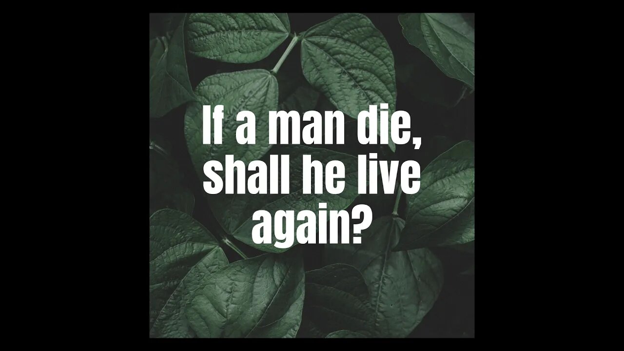 If a man die, shall he live again?