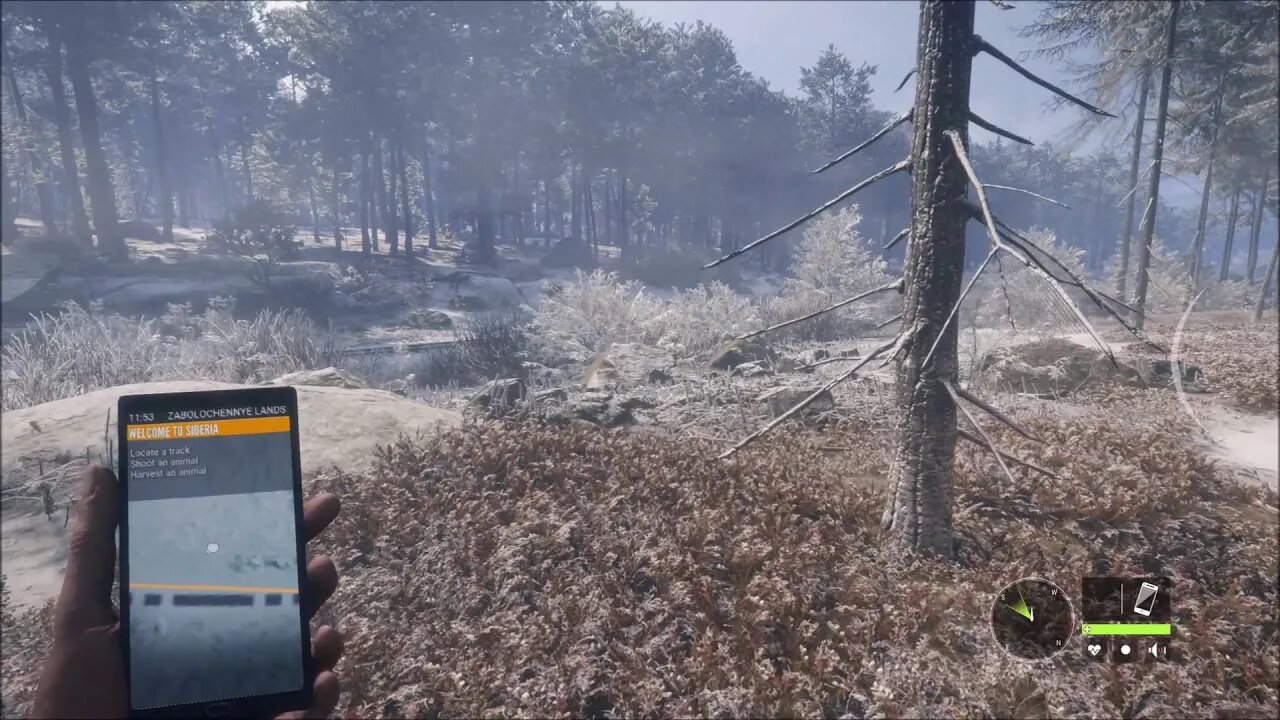 Walking Through The Woods Of Siberia - theHunter: Call Of The Wild Medved-Taiga DLC - utherwurlds
