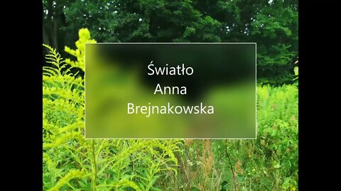 Światło -Anna Brejnakowska