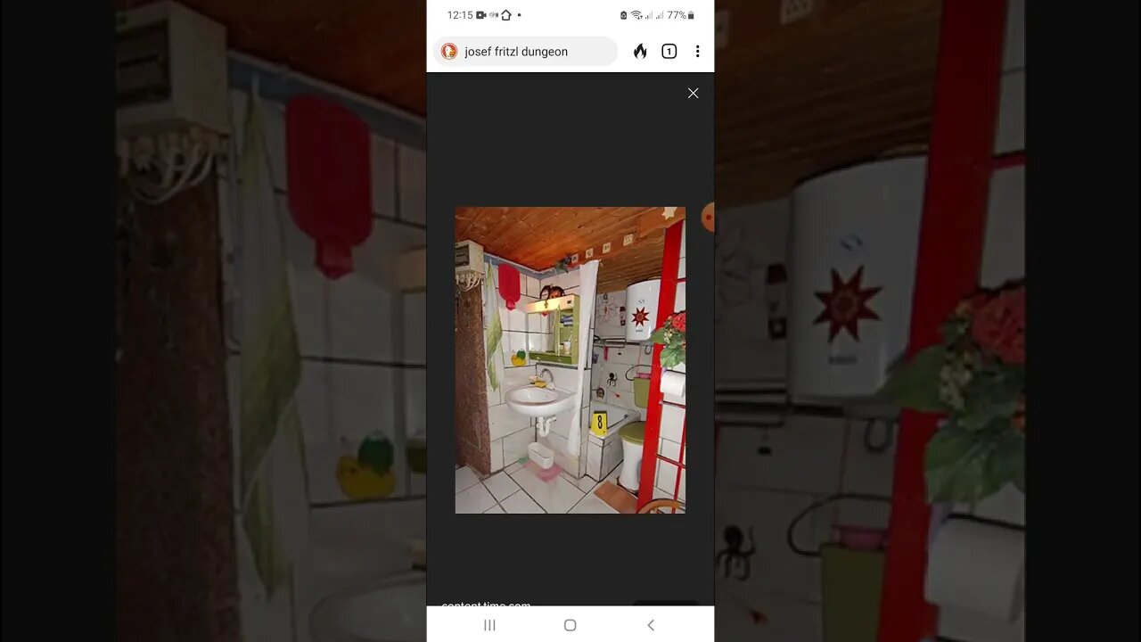 Summer Wells' "Peasant" Bedroom WAS WORSE Living Conditions Than Josef Fritzl Horror Dungeon - FACT