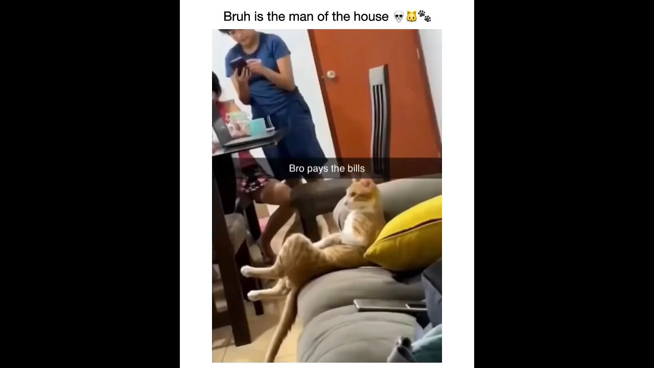 Man of the house 🤣🤣