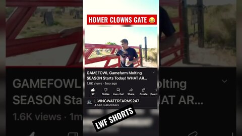 HOMER CLOWNS NEW GATE 😂 #LWFShorts