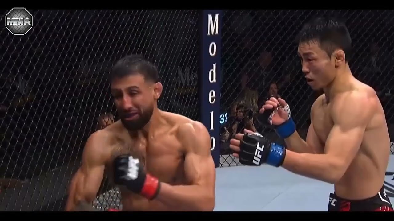 The Scariest Knockouts in MMA So Far - MMA Fighter