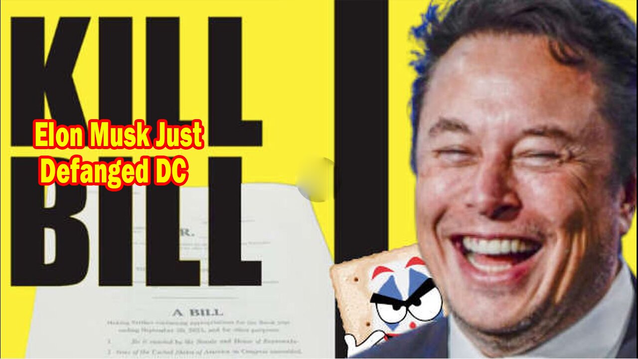 Salty Cracker: Elon Musk Just Defanged DC ReeEEeE Stream 12-19-24